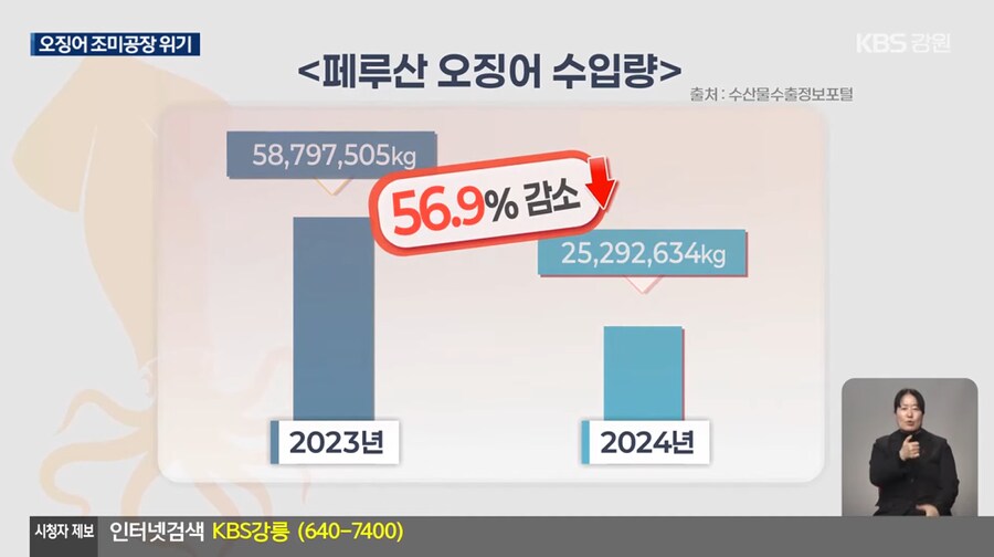 이슈) 진미채, 오징어 안주, 등등 오징어 가공류 근황 ㄷㄷ.jpg_4.png