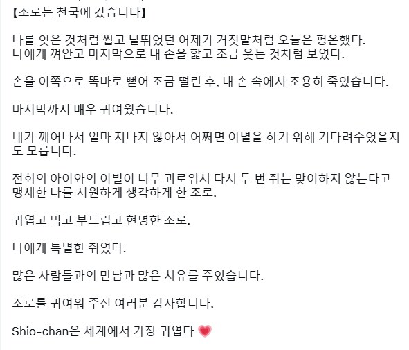 간사해보이는 쥐 근황_3.png