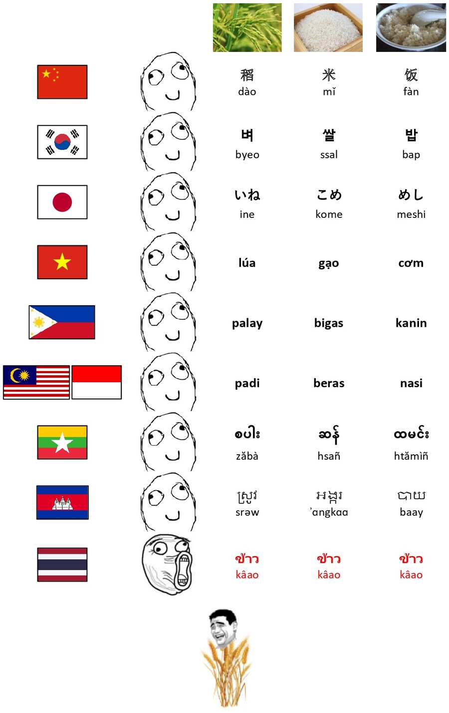 아시아 국가들은 벼, 쌀, 밥을 구별해서 말한다_1.jpg