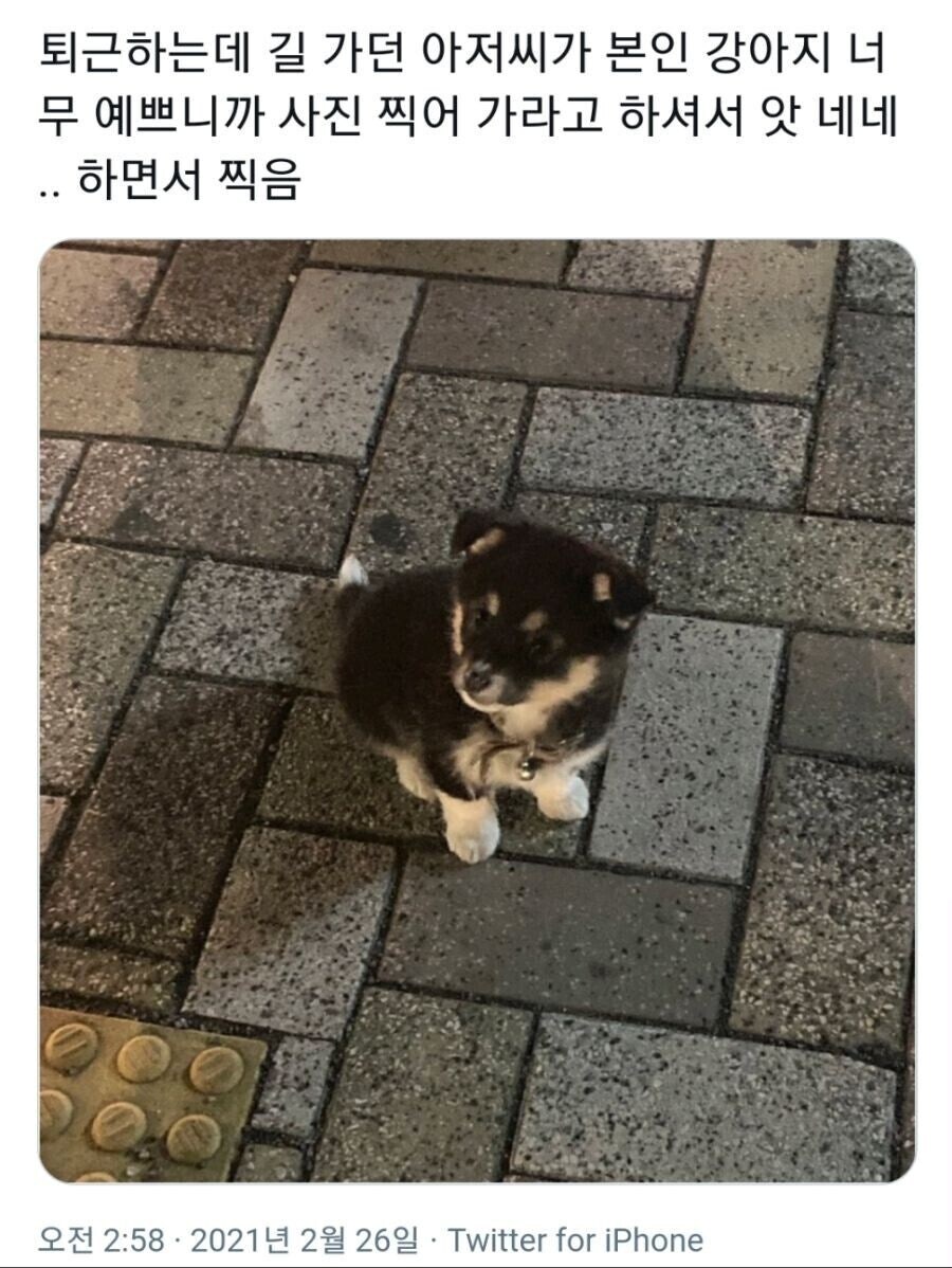 퇴근길에 어떤 아저씨가 사진 찍으라고 하네요._1.jpg