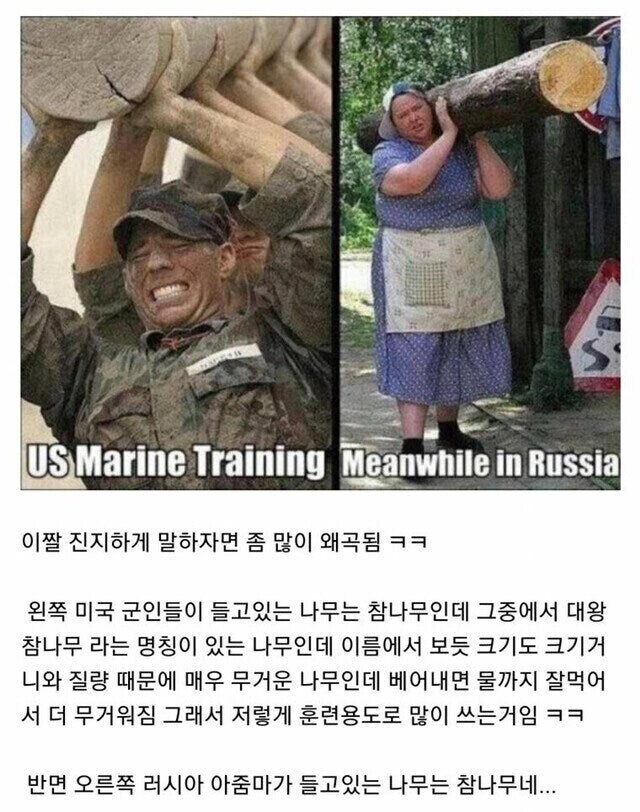 미 해군 vs 러시아 아줌마 통나무짤의 진실_1.jpg