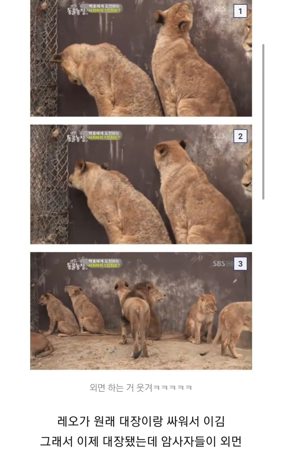 능력에 상관없이 외모때문에 외면당하는 수컷_2.jpg