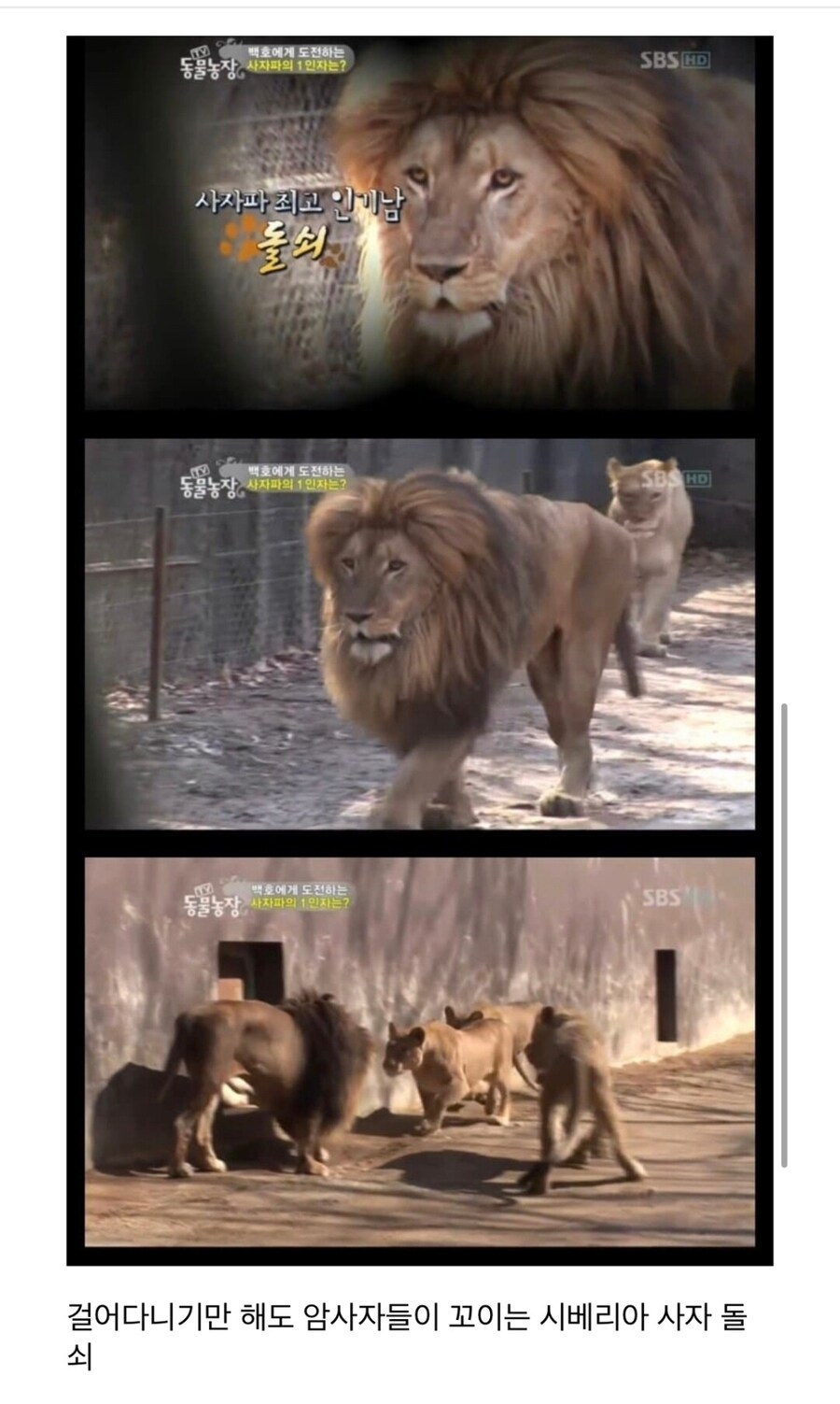 능력에 상관없이 외모때문에 외면당하는 수컷_3.jpg