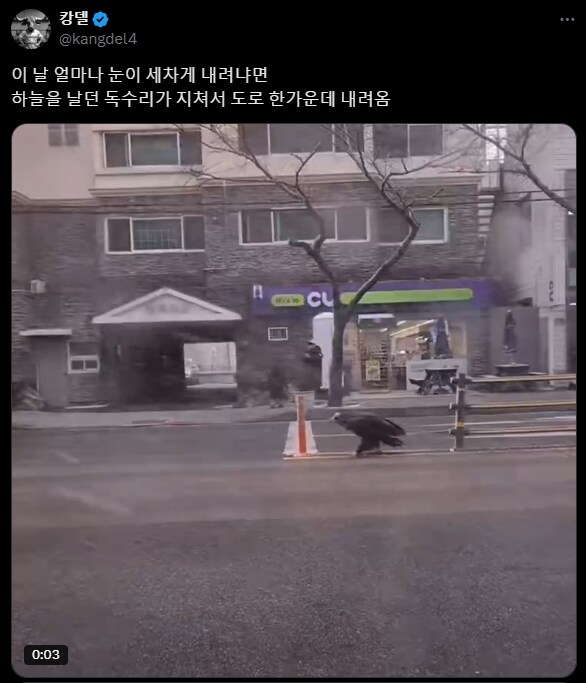 독수리 : 아 한반도 날씨 시2발이네_1.png