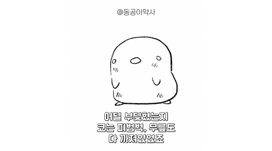 무서운 약국썰_4.jpg