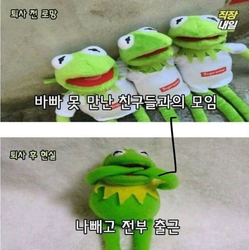 퇴사전 로망과 퇴사후 현실.jpg_4.jpg