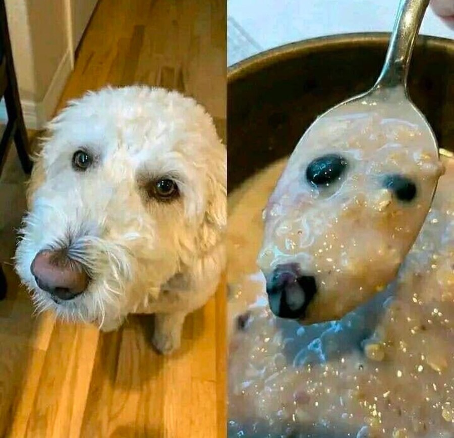 대충 그 녀석은 가짜에요 라는 짤_1.jpg