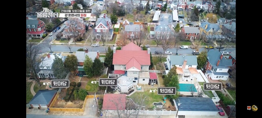 전원주택에서 개를 키우는 것에 충고하는 강형욱._11.jpg