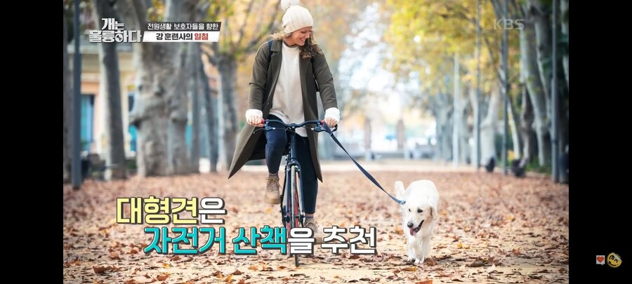 전원주택에서 개를 키우는 것에 충고하는 강형욱._31.jpg