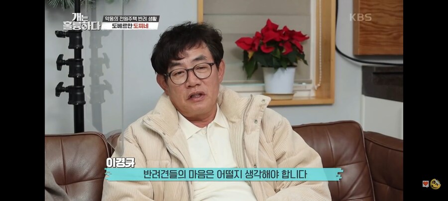 전원주택에서 개를 키우는 것에 충고하는 강형욱._50.jpg