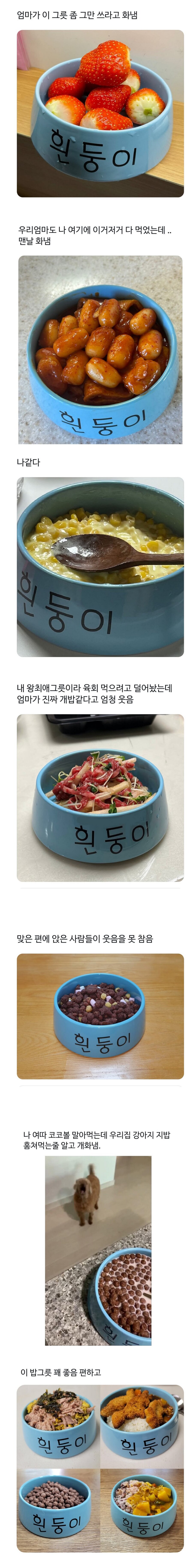 실생활에 유용하다는 짱구 굿즈.jpg_1.png