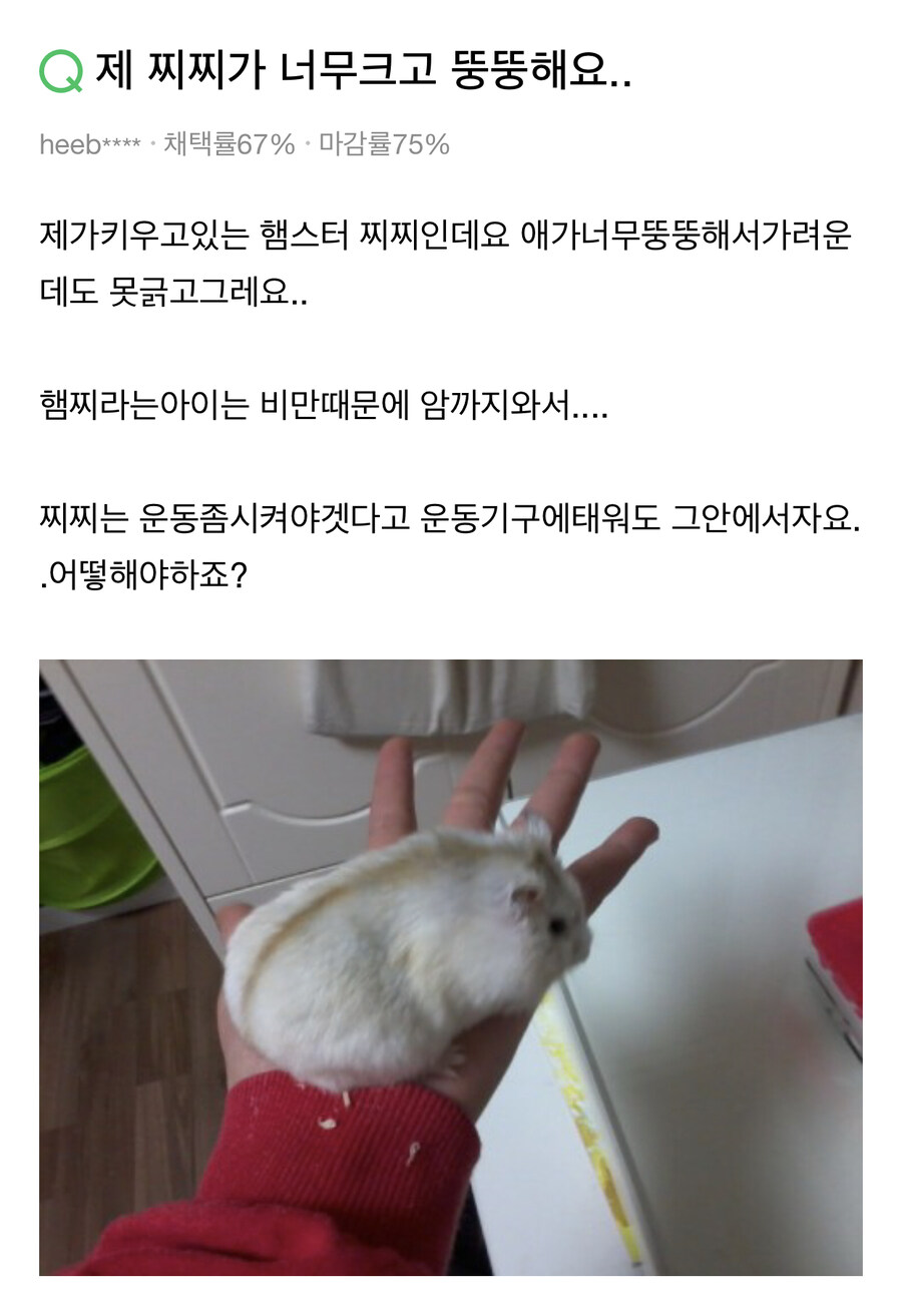 제 찌찌가 너무 커서 고민이에요_1.jpg