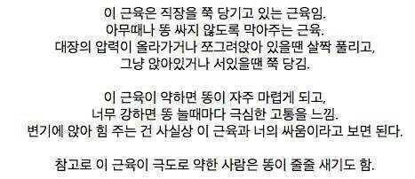 의외로 매우 중요한 근육.jpg_2.jpg