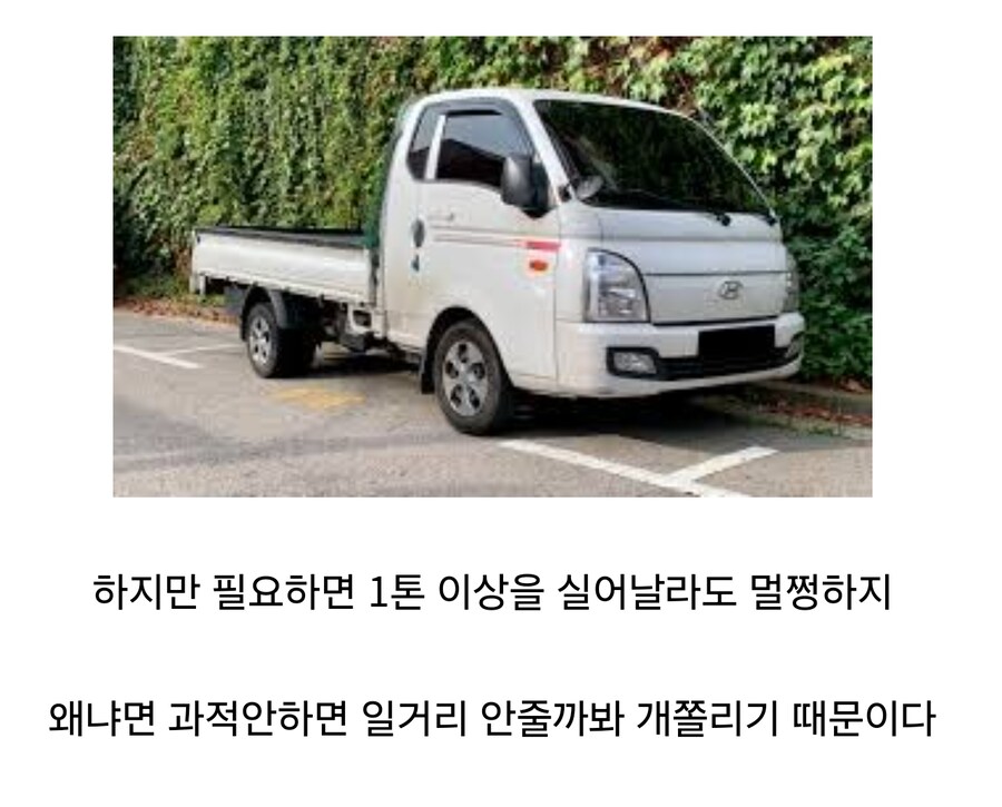 나는 평소에는 1톤까지만 실을수 있다_1.jpg