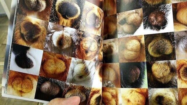 ?? : 정치 떡밥 죶같네. 죶토피아 달린다._2.jpg