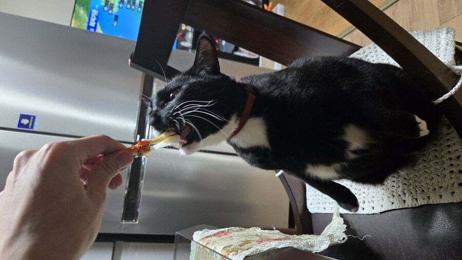 술 땡겨서 야옹이랑 게 쩌먹었어_3.jpg