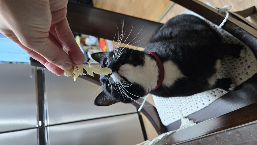 술 땡겨서 야옹이랑 게 쩌먹었어_5.jpg