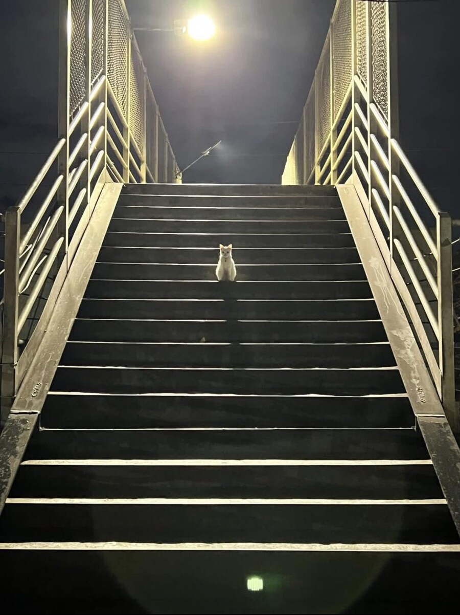 "그래, 내가 바로 그 흑막이다."_1.jpg