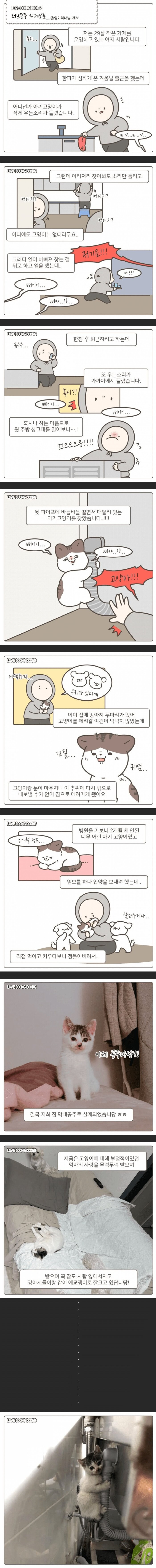 가게 주방에서 발견된 아기냥이 만화.manhwa_1.jpg