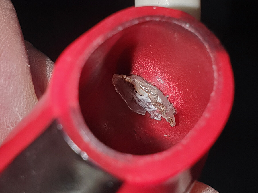 [수리] 2025년 1월 피규어 관절 수리 모음_14.jpg