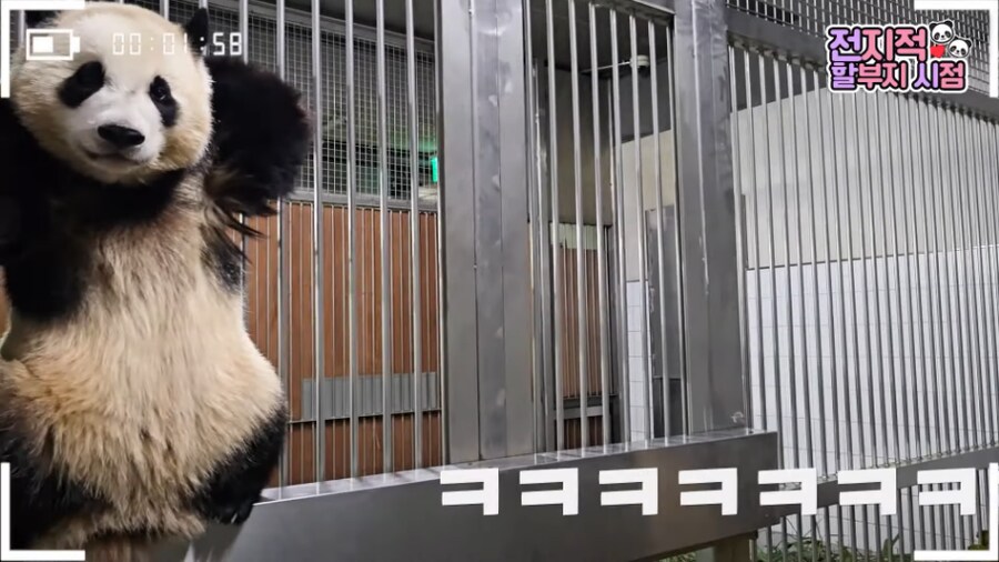 한창 뜨거운 애버랜드 수위 실화냐_1.png