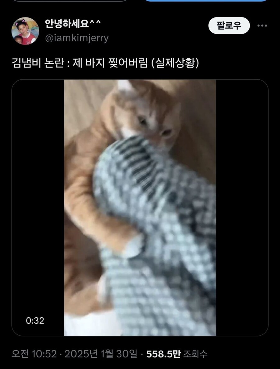 고양이 성희롱 DM 받고 충격 받은 집사;;_1.jpg