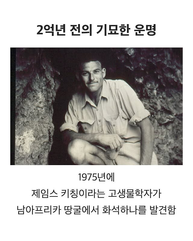 2억년전의 기묘한 운명_1.jpg