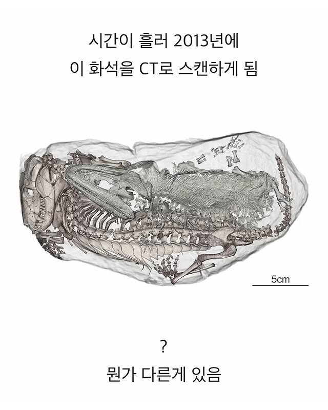 2억년전의 기묘한 운명_3.jpg