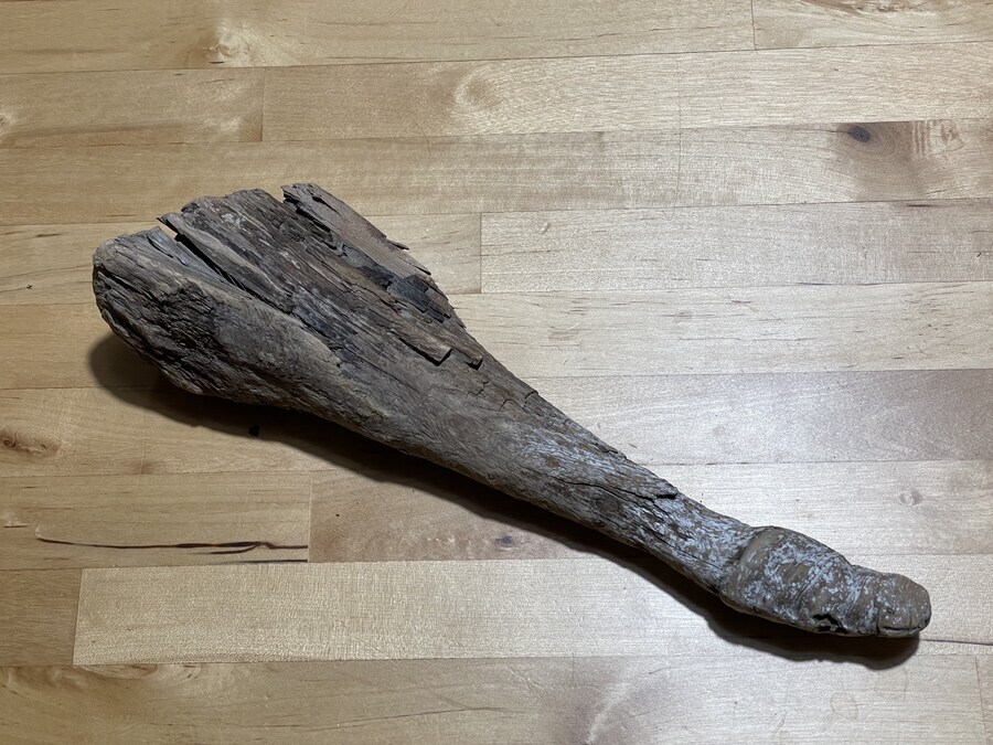 트위터에 올라온 나무 막대기 자랑.jpg_2.jpg