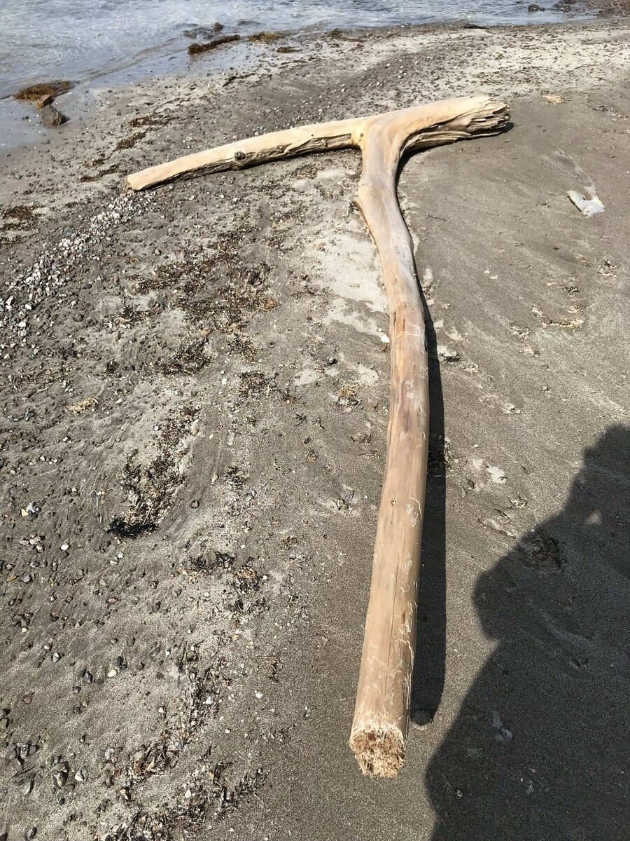 트위터에 올라온 나무 막대기 자랑.jpg_4.jpg