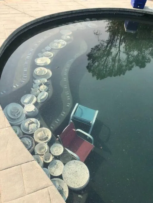 고급 식기가 수영장에 들어가 있었던 이유_1.webp