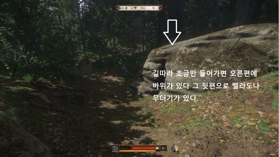 킹덤컴2 약초 벨라도나, 삿갓풀 위치_3.png