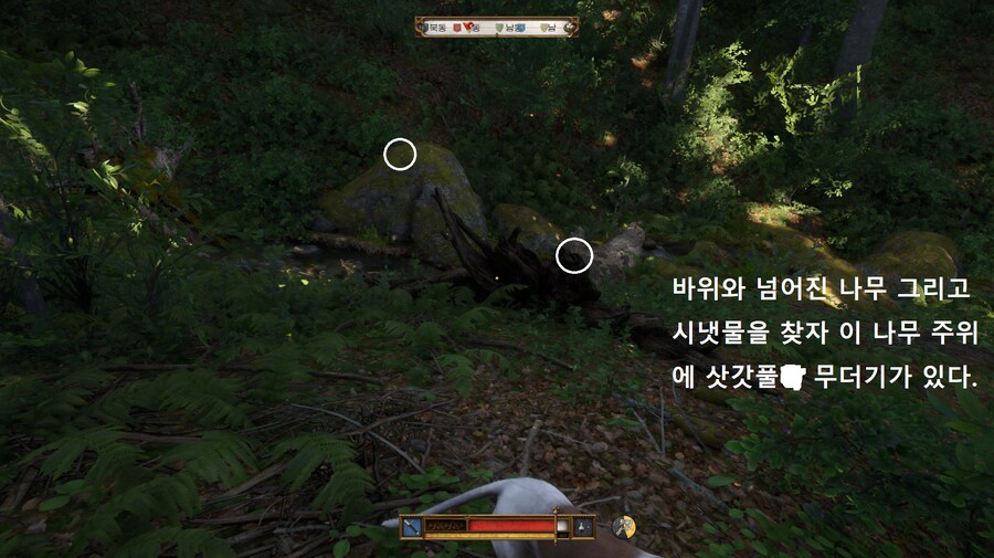 킹덤컴2 약초 벨라도나, 삿갓풀 위치_7.png