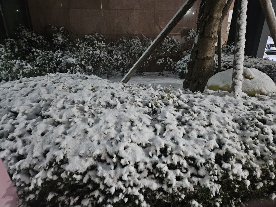 경남에 눈 정상화가 시작됐다_2.jpg