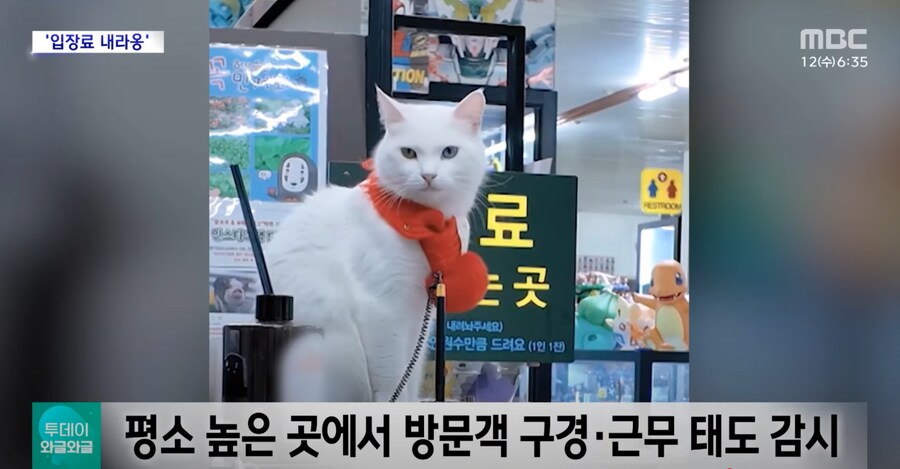요새 일자리 구하기가 빡센 이유_2.png