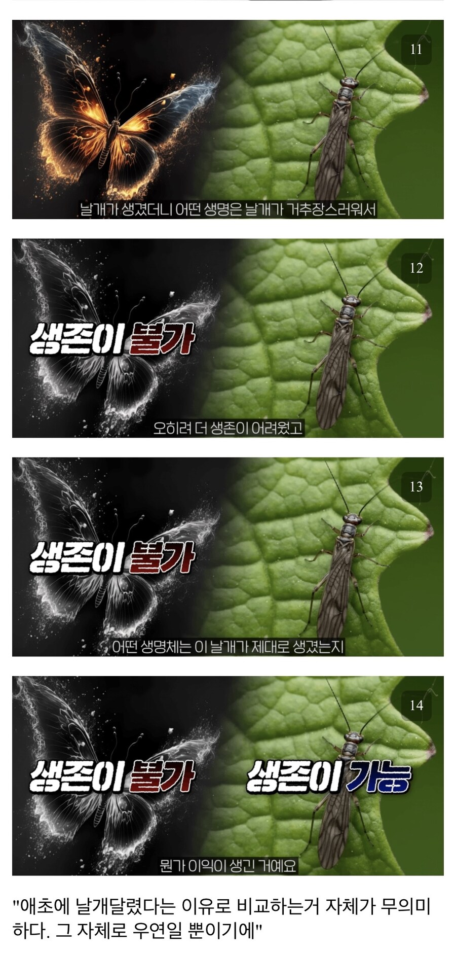 익룡은 멸종했는데, 새는 왜 살아있나?_2.jpg