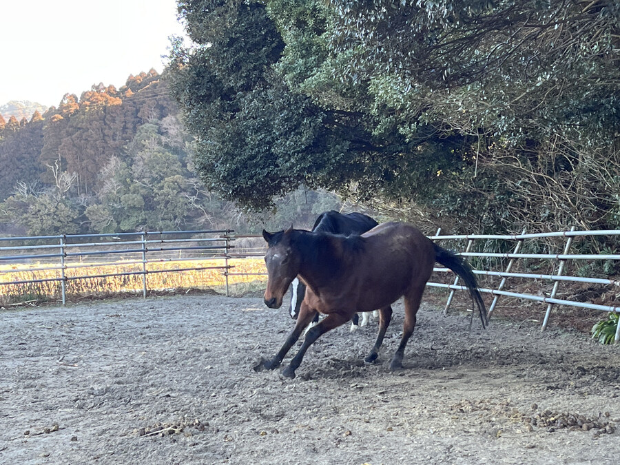 말딸)원본) 하루 우라라 근황_2.jpg
