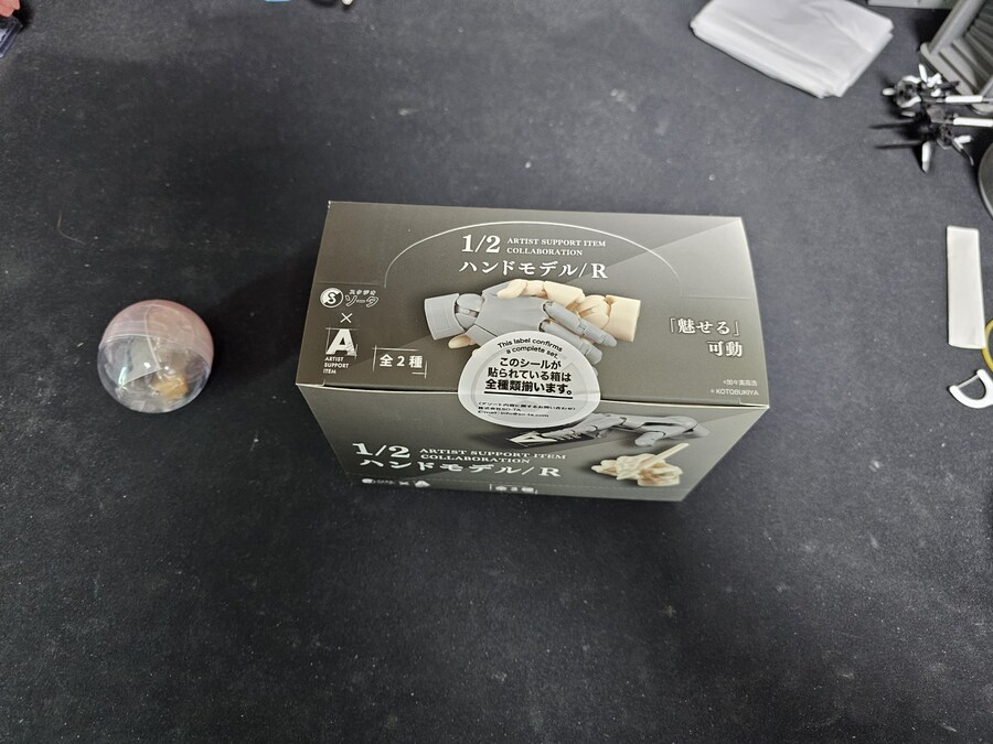 염가판의 미덕 그 자체 아티스트 서포트 아이템 1/2 핸드 모델_1.jpg