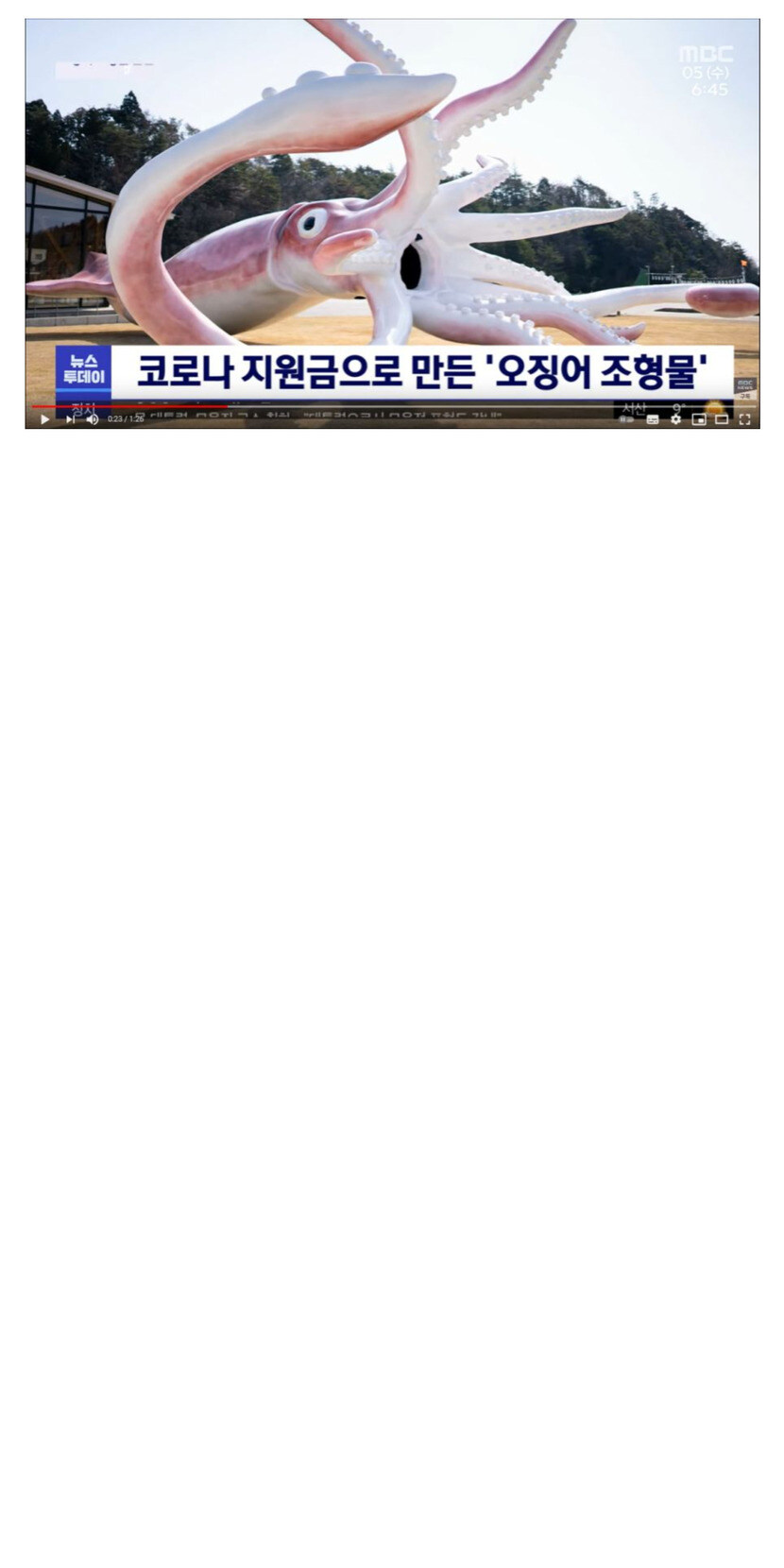 처음 보면 욕 나오는 코로나 지원금으로 맹근 물건.jpg_1.jpg