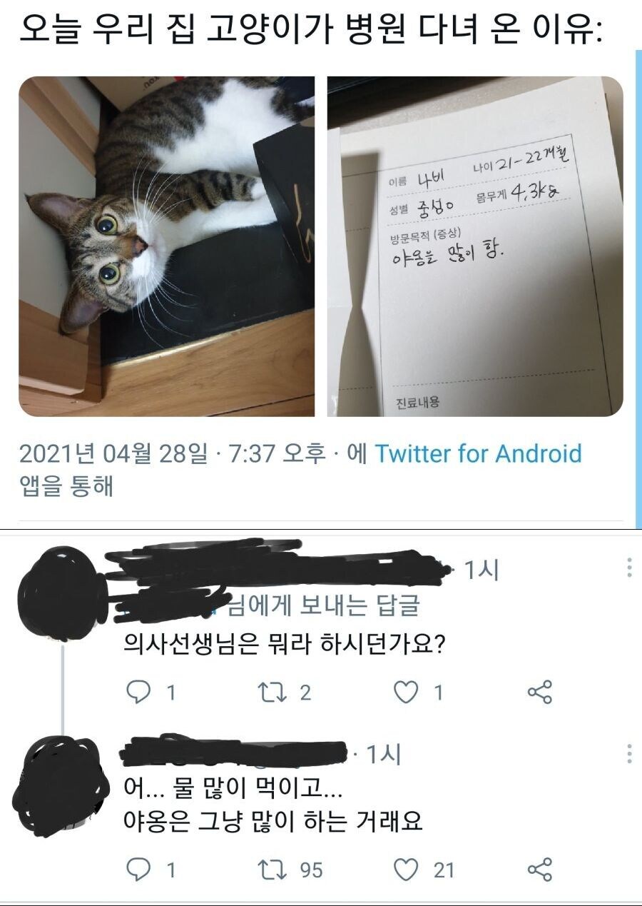 고양이 처음 키우고 능욕 당한 사람_2.jpg