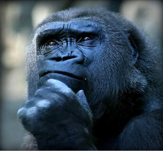 MCU 스포 ) 이번 캡아4를 본 헐크 팬들의 공통된 평_4.jpg