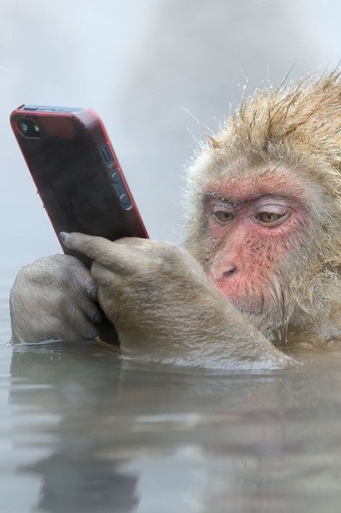 디지몬) 호소다 마모루 이 역겨운 새기!_5.jpg