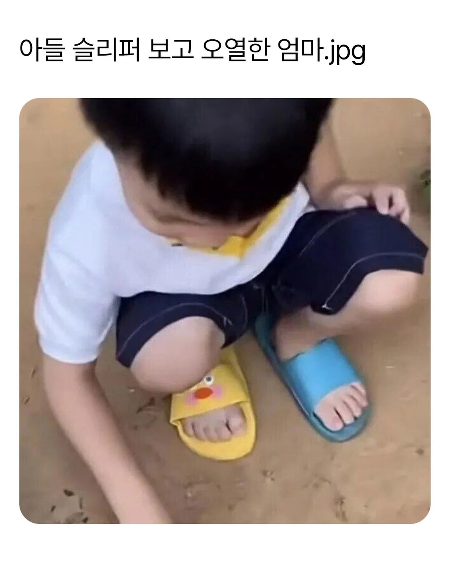 아들의 짝짝이 슬리퍼를 보고 오열한 어머니_1.webp