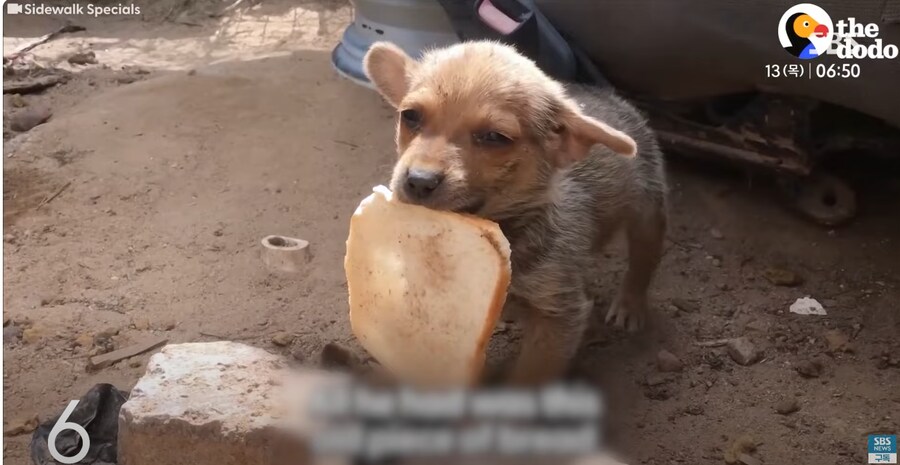 ??? : 야 이거 줄게ㅋㅋㅋ니들 이거 좋아하지? 오다 주웠다ㅋㅋㅋ_2.png