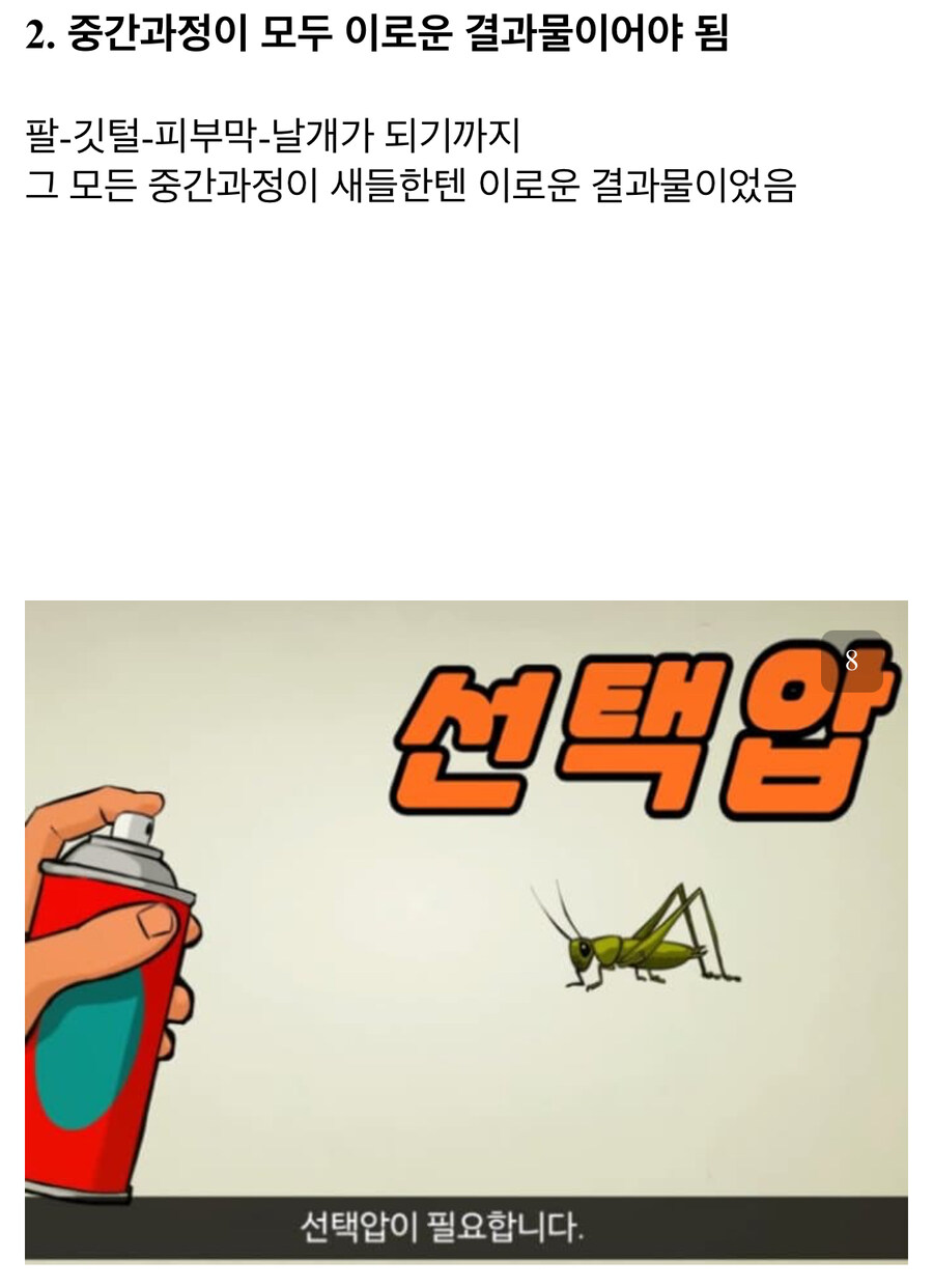 인간한테 날개가 없는 이유_6.jpg