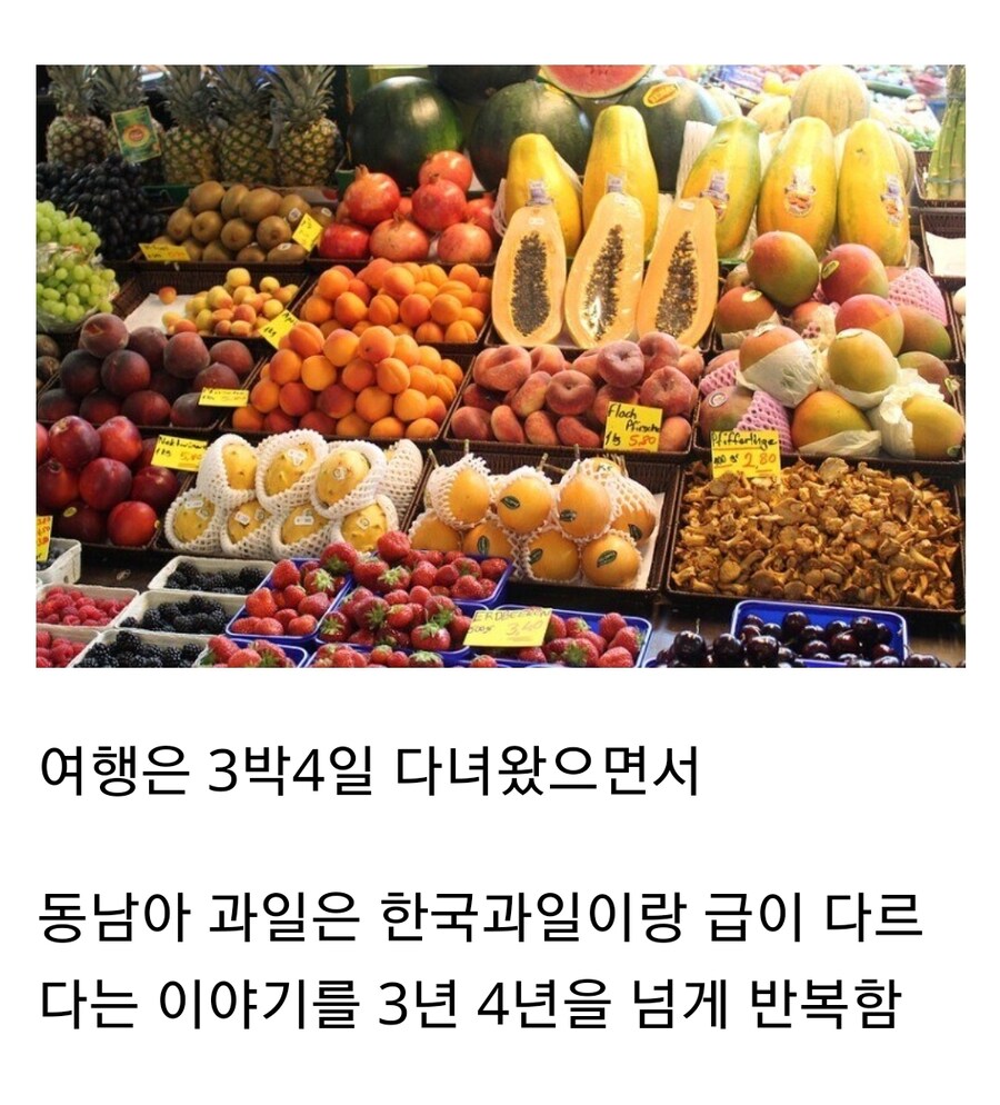 "그 가격이면 유럽환타는 그럴 수 있지"_1.jpg