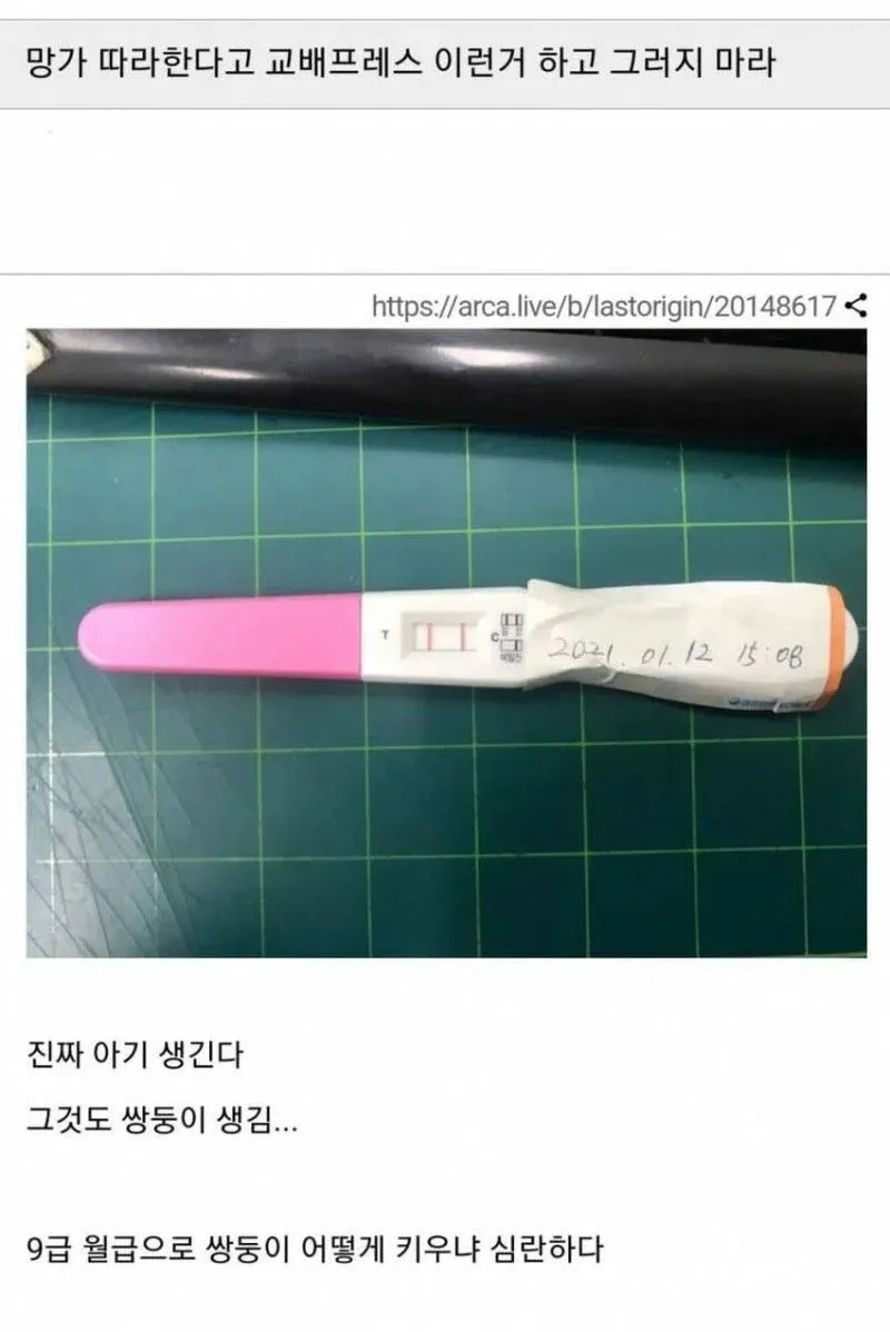 "교배"프레스라 불리는 이유_1.webp