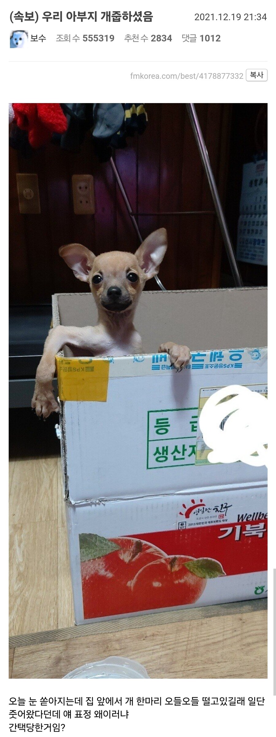 아빠가 갑자기 개줍해오셨음_1.jpg