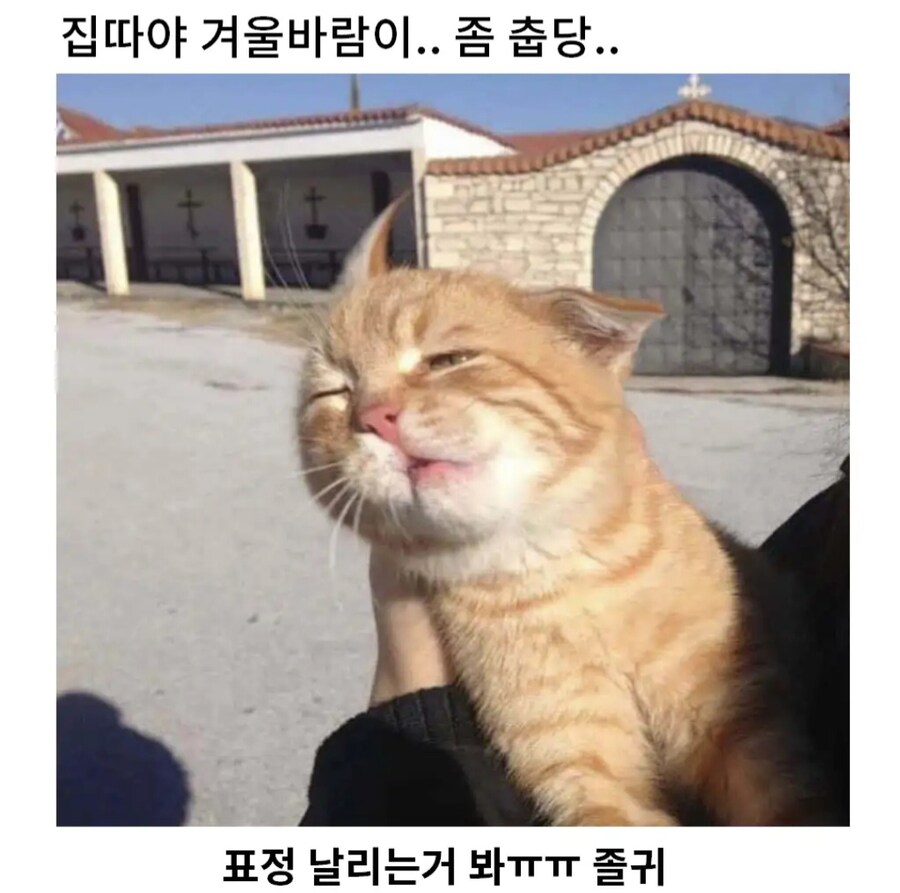 집사야 춥다 빨리 들어가자옹.jpg_1.jpg