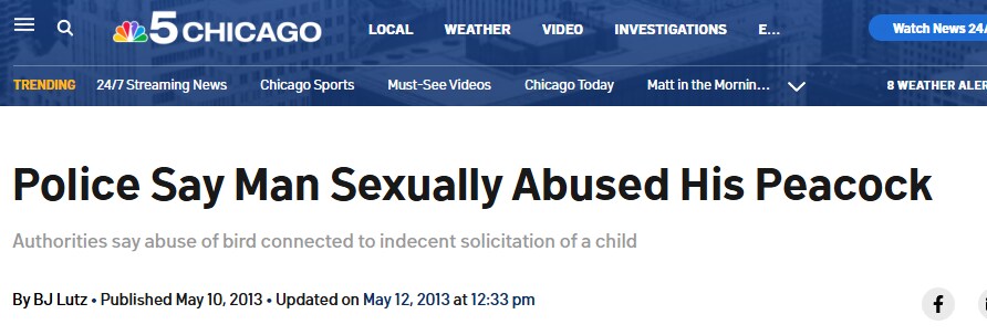 의외로 가짜뉴스였던 복수 수간러_2.png